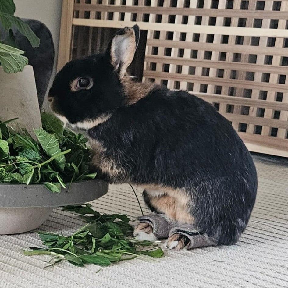 Brittas bunte bunny boots ® - XS