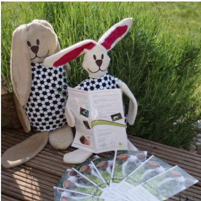 Info-Flyer Weibchenkastration