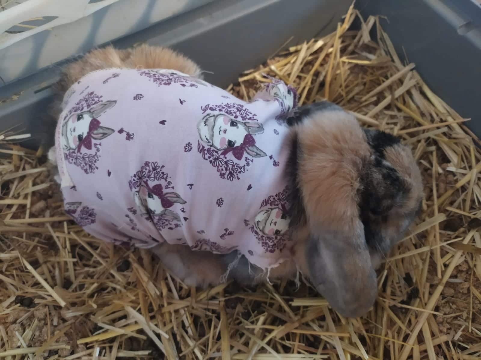 Body bei Verletzungen am äußeren Oberschenkel - bis zu 10 Tagen Lieferzeit