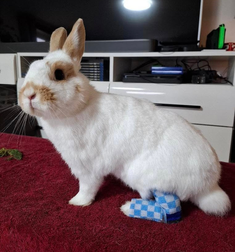 bunny boot binde "Schuh-Fix"