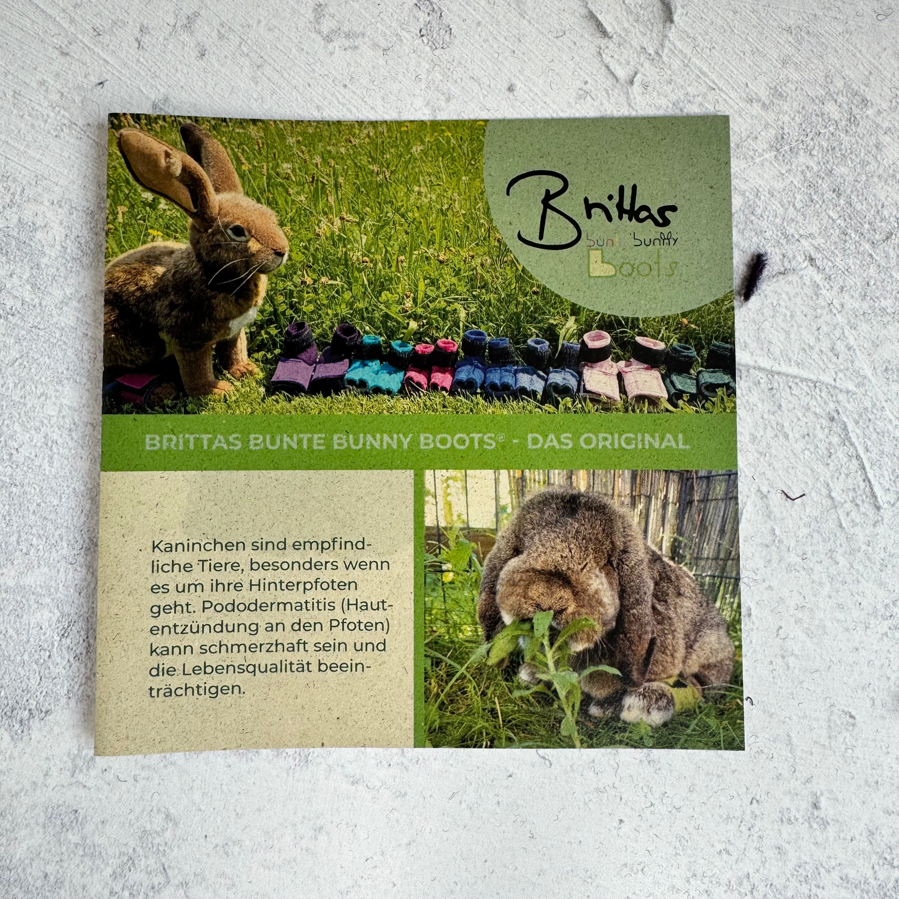 Flyer für Tierarztpraxen