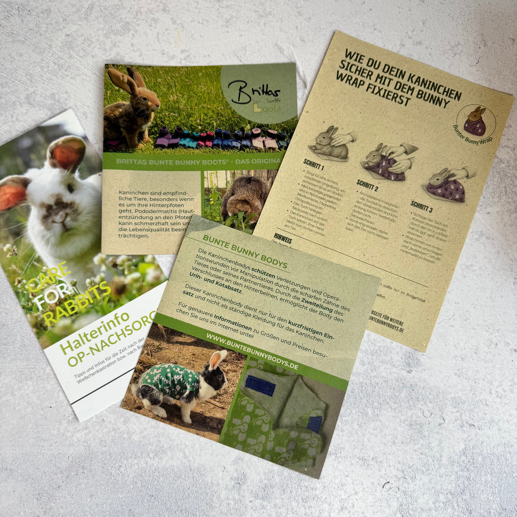 Flyer für Tierarztpraxen