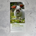 Flyer für Tierarztpraxen