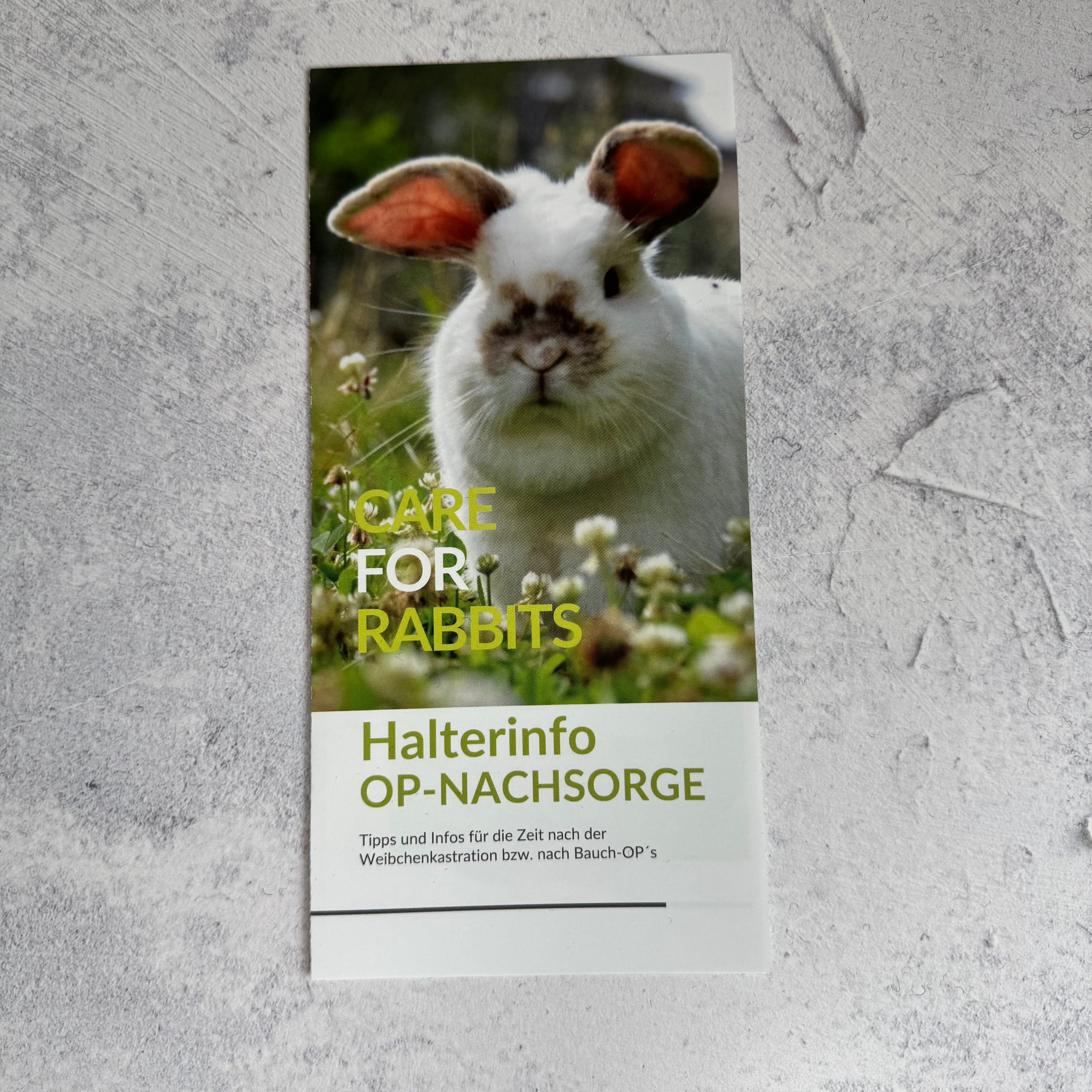 Flyer für Tierarztpraxen